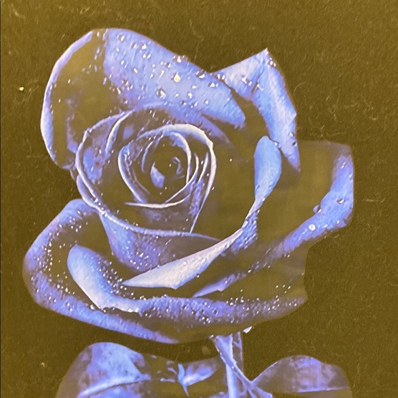 Final price accepted 💎 Black Blue Rose Crew Neck Short Sleeve Graphic Tee - Picture 3 of 4